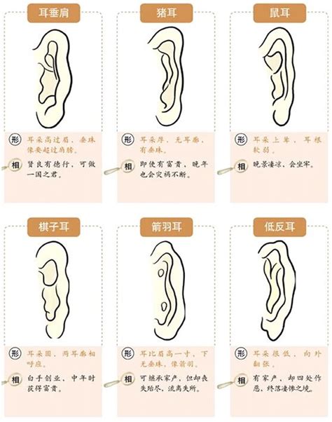 耳珠朝口 面相|面相入门